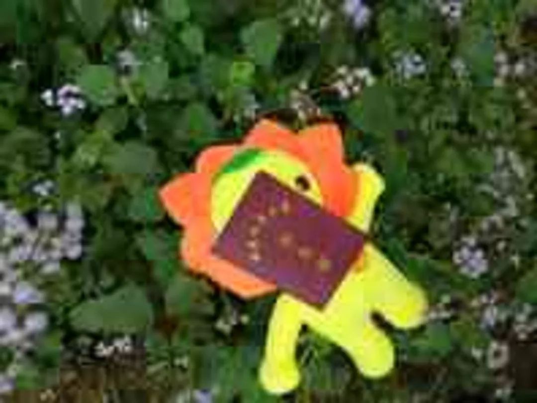 假期余额告急！是时候晒出我和“他”的旅行日记了