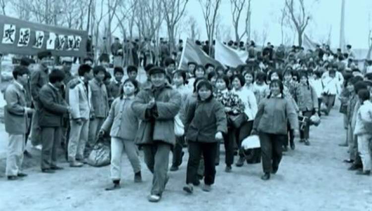 没和崇明岛上的这块“大石头”合过影，别说你到过崇明~