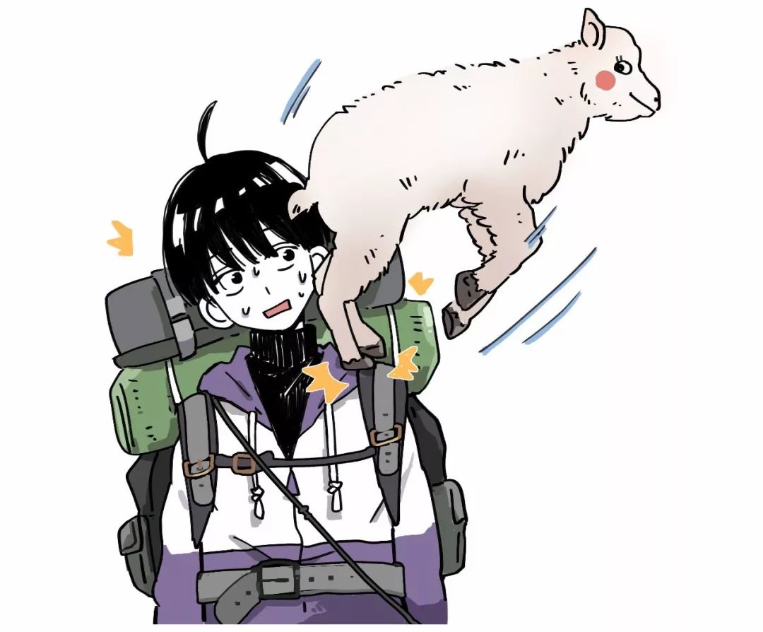 作为内蒙人,山羊这么牛的生物,竟然不了解?