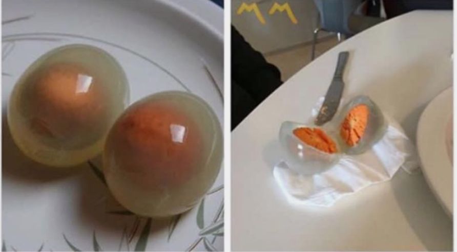 你见过企鹅破壳的瞬间吗,你见过企鹅下蛋吗