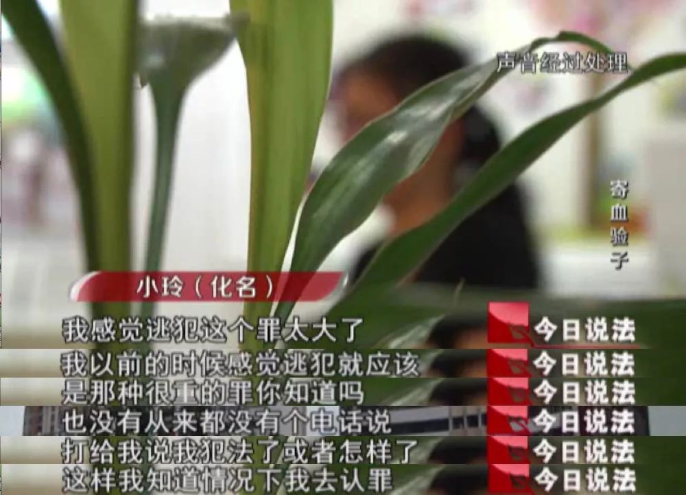 参与孕妇超五万！全国最大“寄血验子”案背后的入刑之争