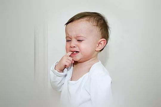 关注春天,关注身边的昆虫