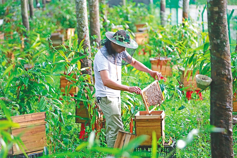 琼中健康扶贫,琼中县生态文明建设