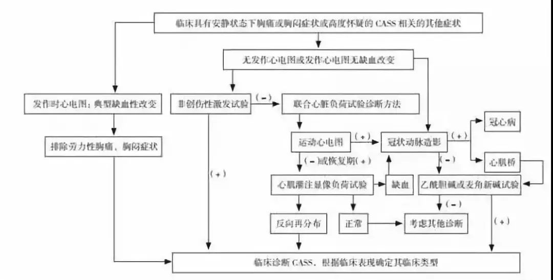 刘斌教授冠状动脉功能学最新进展,冠状动脉痉挛治疗方法图片