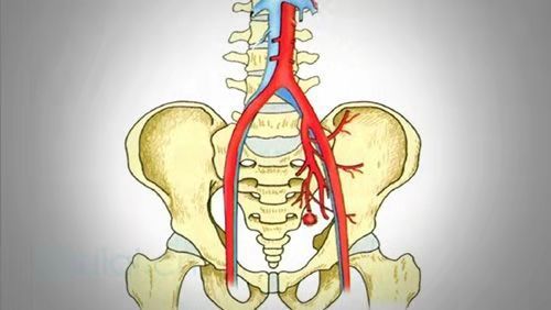 女人骨盆移位怎么造成的,女性骨盆倾斜的纠正手法