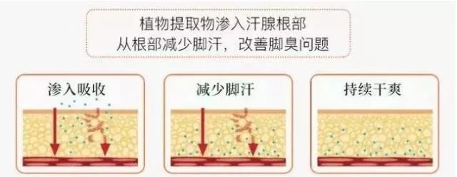 脚臭怎么办教你除臭小妙招,脚痒脚臭怎么办教你除臭方法