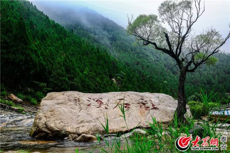 泰山山东景区门票降价,泰山景区门票优惠政策
