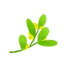 广湛高铁站点已安排！来到茂名有这么多好吃的等着你~