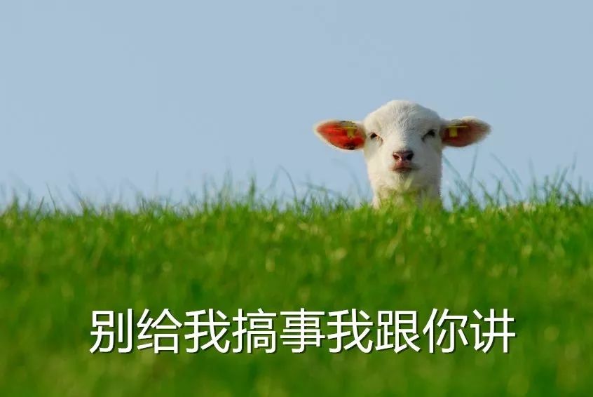 吃羊肉上火了吃什么降火最快,羊肉吃多了会上火吗真的那么热吗