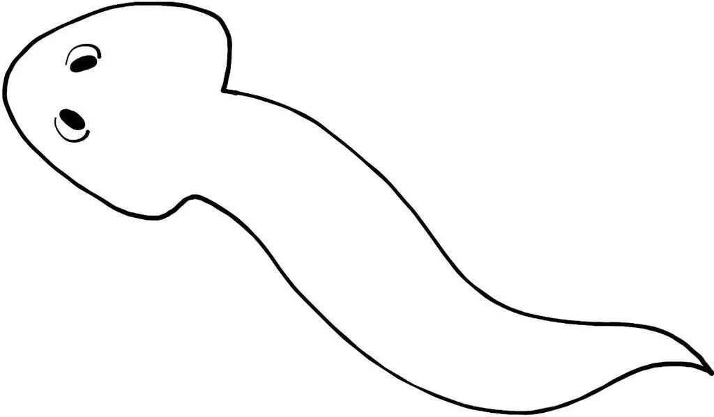 讲点硬科技：“脑子借你用用”，什么时候能实现？