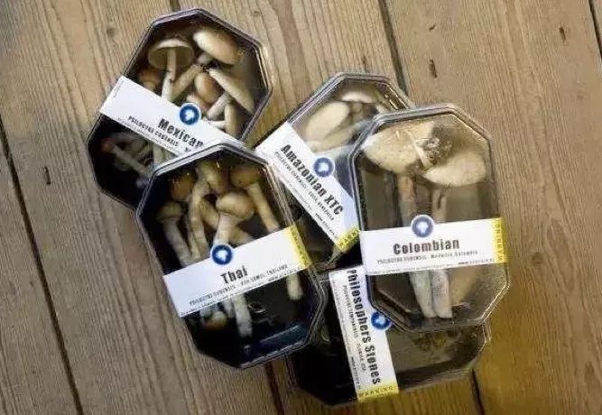 警惕这些新型毒品已瞄准未成年,关注吸毒人群低龄化