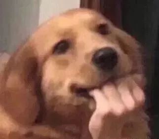 触及真心刘仁娜同款格子大衣,触及真心大衣