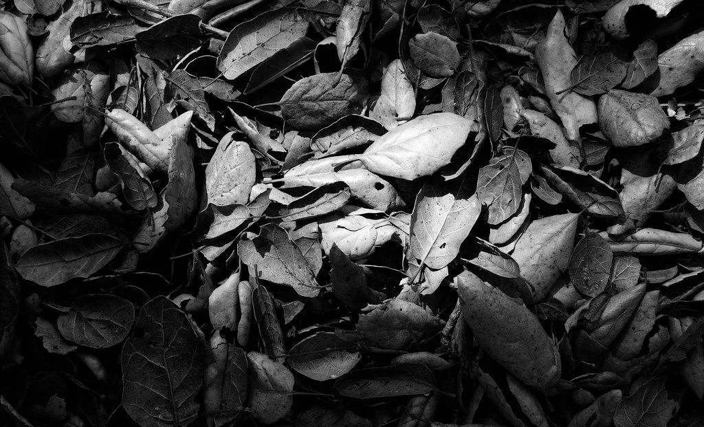 朱文杰昌平区,朱文杰屯溪区