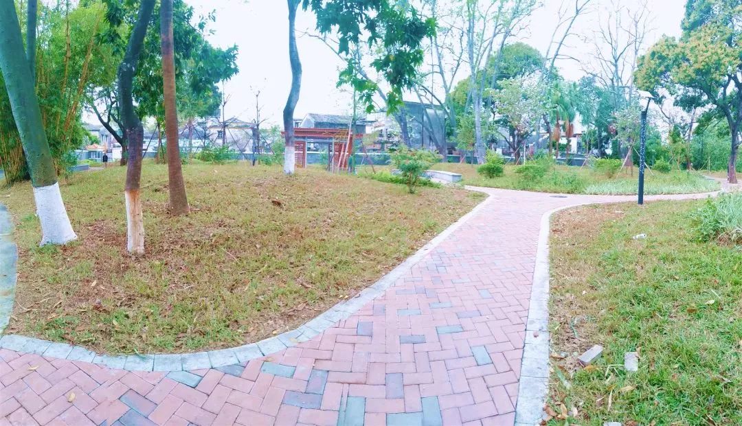 中山民众好玩的公园,中山的年轻人爱去哪里逛