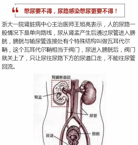 雨雨雨雨……姑娘穿了没干透的贴身衣物，结果住院了！