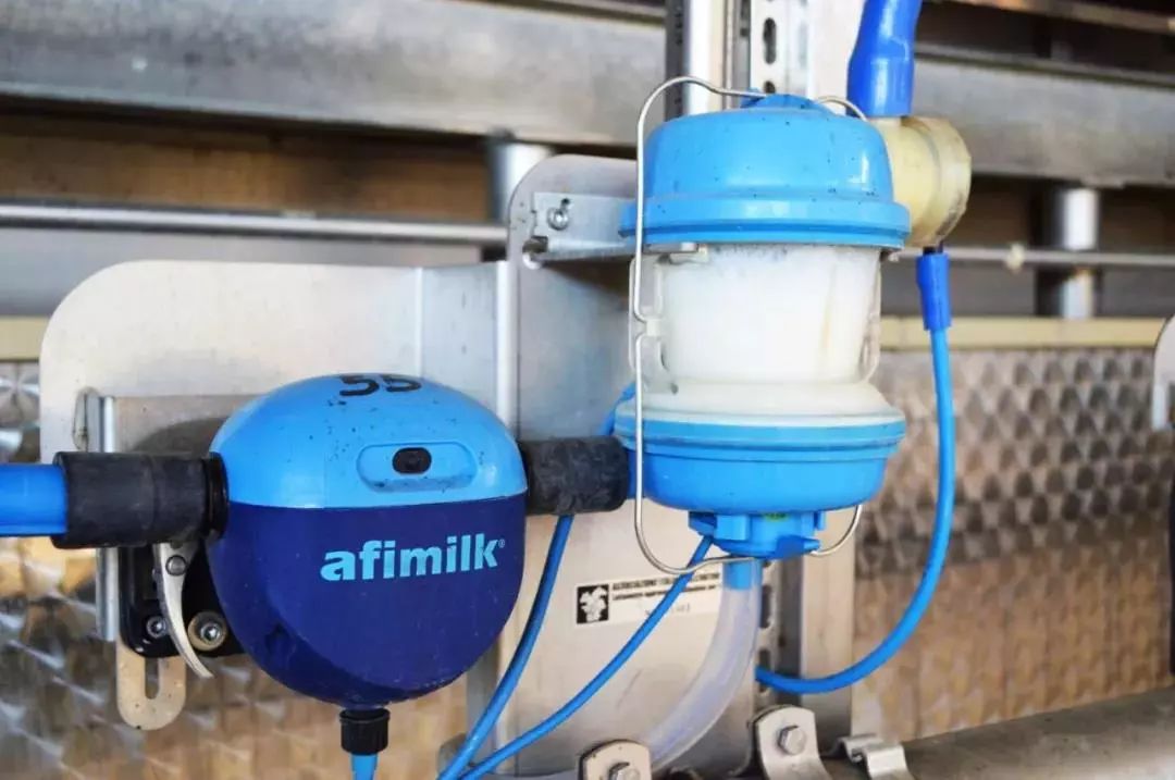 挤奶曲线解读（上）：到底什么是好的挤奶流程，挤奶曲线说了算