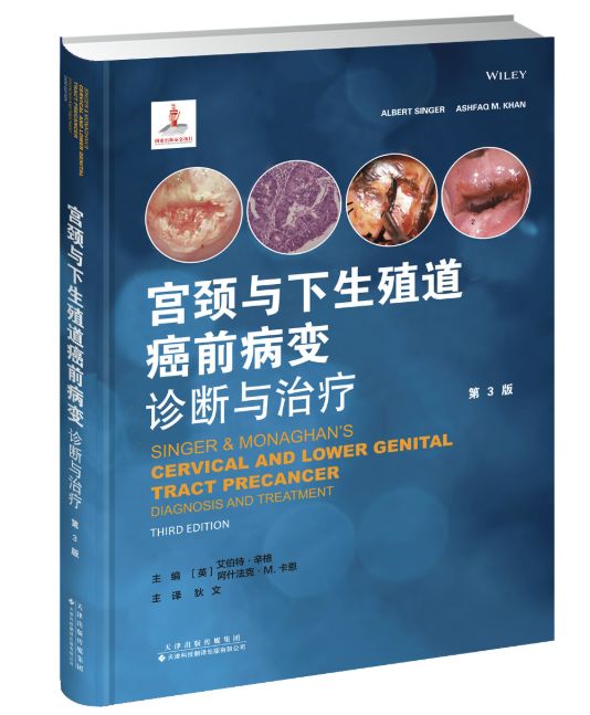 3.8女王节小说,3.8女王节严选