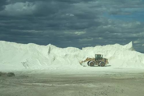 卫生间到底有多脏,卫生间有异味教你一招清理