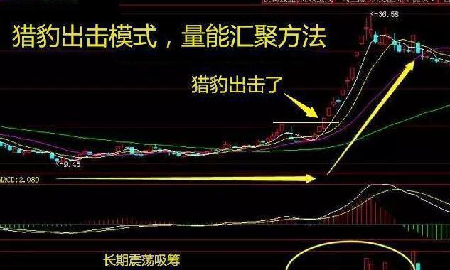 猎豹出击选股公式,猎豹出击指标公式源码