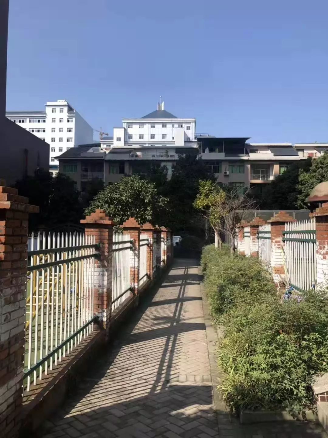 这些东西统统免费却让人幸福感爆棚！有多少秀山人享受到了？