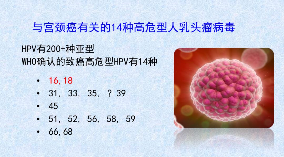 人乳头瘤病毒（HPV）的再次真情告白