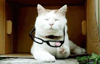 遭禁售的日本眼药水,日本网红眼药水导致眼瞎