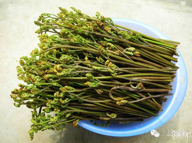 这是一份来自三明的“春天使用说明书”，请仔细阅读！