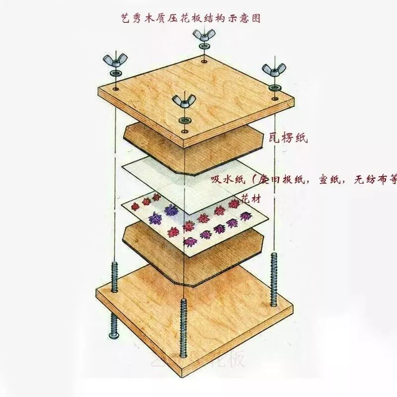 永生花diy手工,1700块的永生花