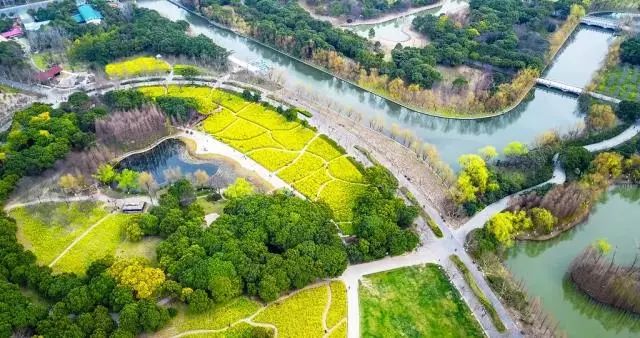 上海人春天爱吃的美食,春天上海最好吃的东西