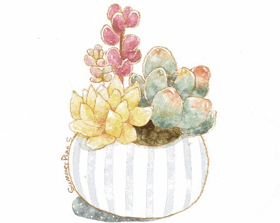 常州网红打卡地夜景,常州打卡网红地拍照