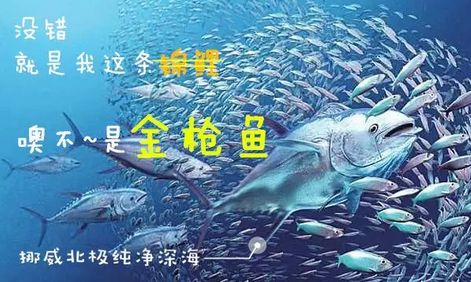 淡化眼纹的眼霜推荐哪款,一款真正淡眼纹的眼霜