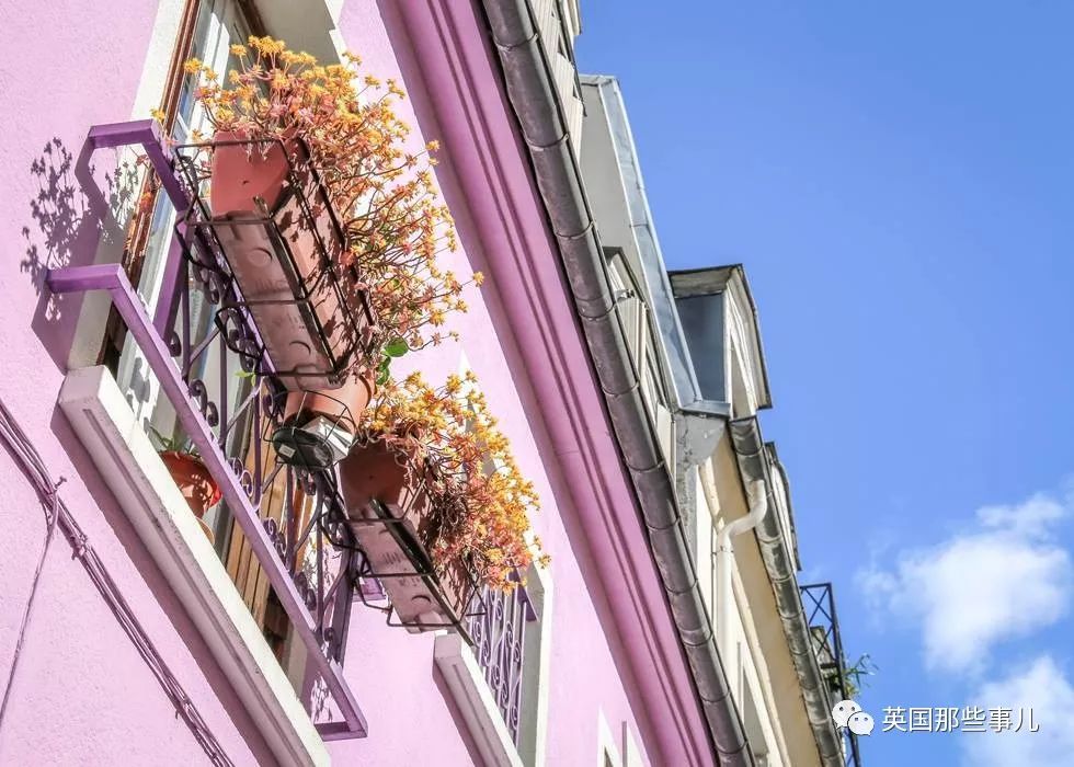 当自家门口变成网红打卡地 (一不小心家门口成了网红打卡地)