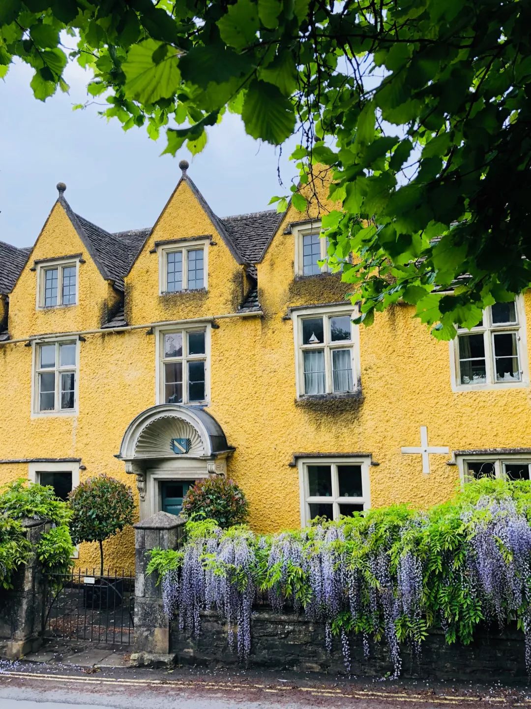 女神节花海一日游,女神节桃源一日游活动