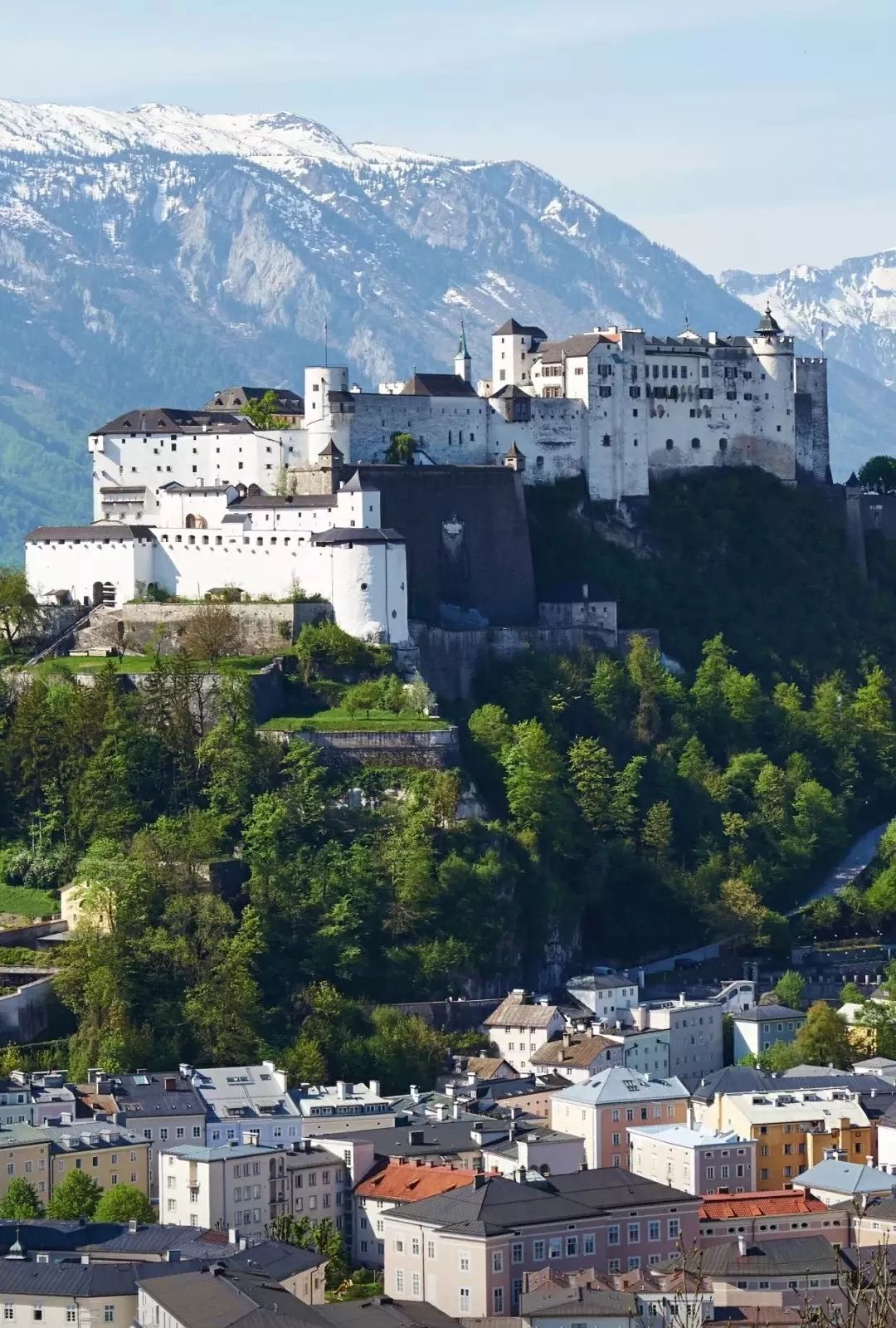 女神节花海一日游,女神节桃源一日游活动