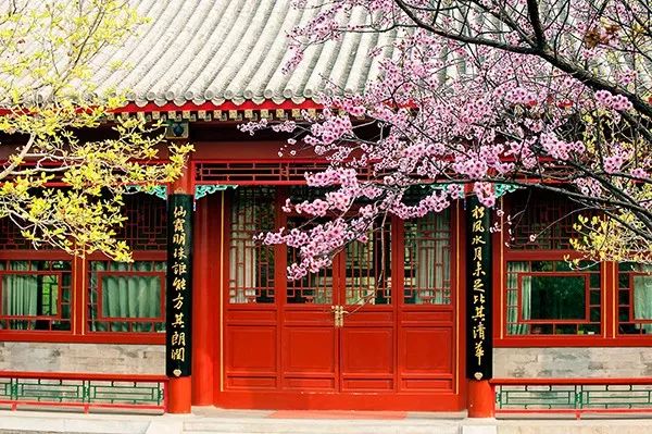 【3.16北京】“职场•创业•成长”北大国发院MBA校友分享及项目说明会