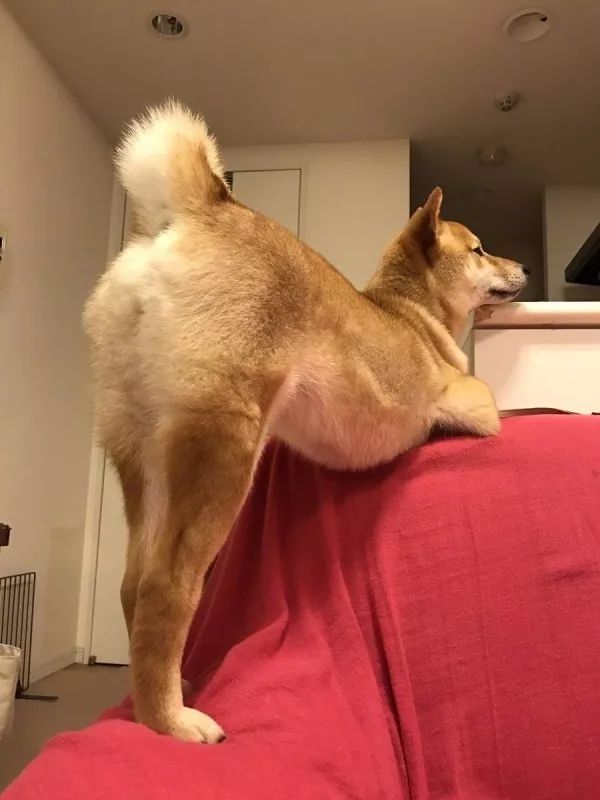 ▶昨天老妈教弟弟做作业，我弟不动脑筋思考，每道题都问...