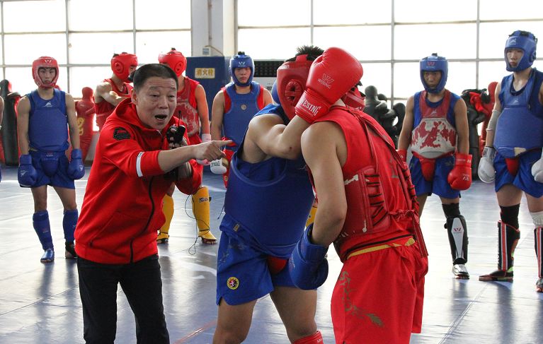 武术散打培训计划,全国武术散打培训班