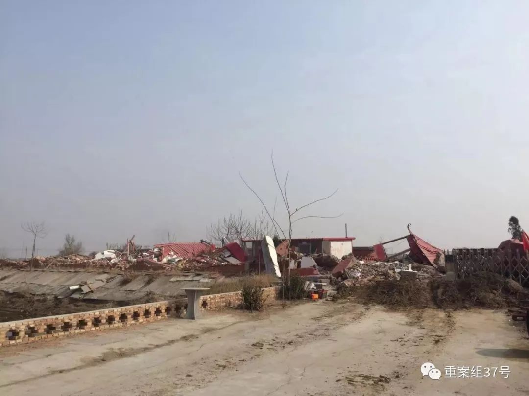 大仙被折磨,大仙被金蝉折磨