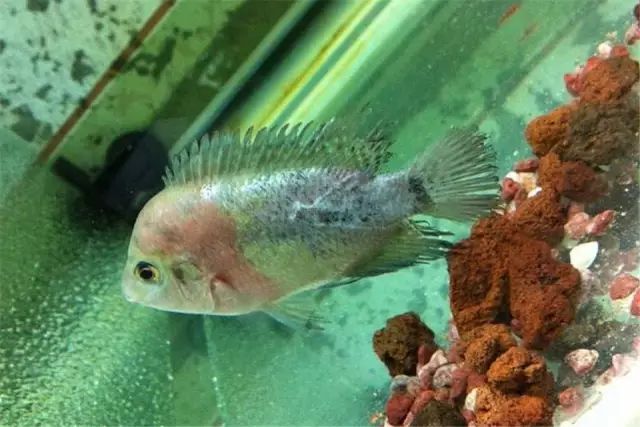 经验教训方面的收获,经验教训案例