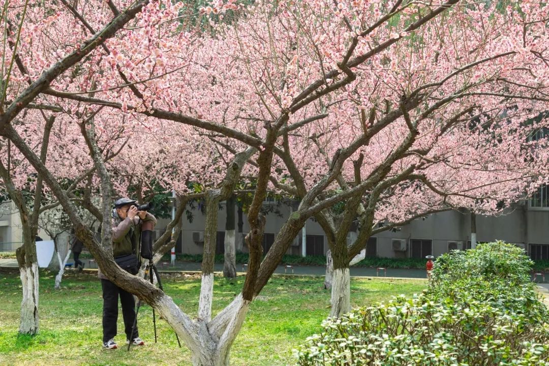 腾讯、联通、新东方都准备来华师“抢人”，本周就业讲座通知汇总，赶紧安排一下！