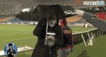 无惧雨水烈日～独特小动物头晴雨伞，让你独具气质与不俗魅力