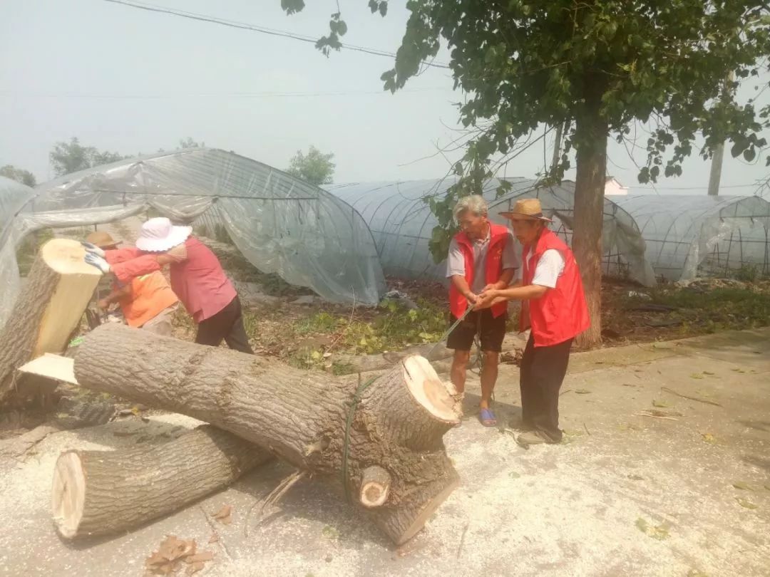 2021年村书记谈村发展,村书记打造美丽乡村采访