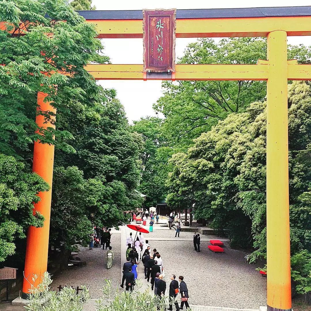 鍐板窛绁炵ぞ缁撶紭,鍐板窛绁炵ぞ鐑熻姳寰″畧