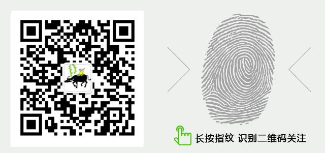 养牛防疫技术,养牛场防疫条件有哪些规定