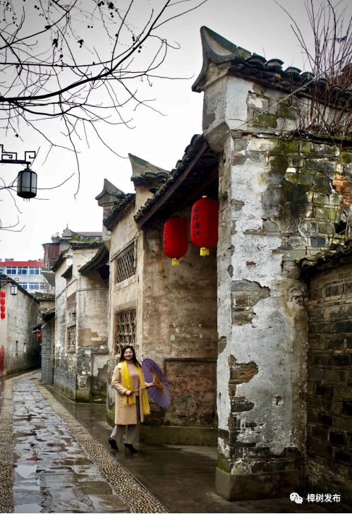 一位临江游子的故乡情：烟雨临江