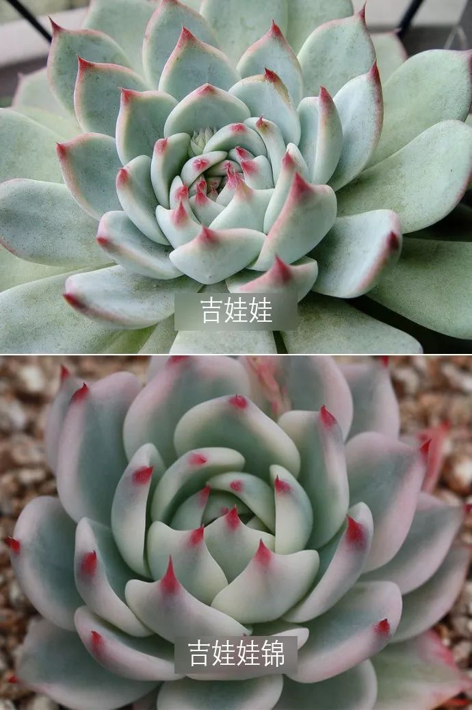 三个方法看透所有谎言,三个方法辨别谎言