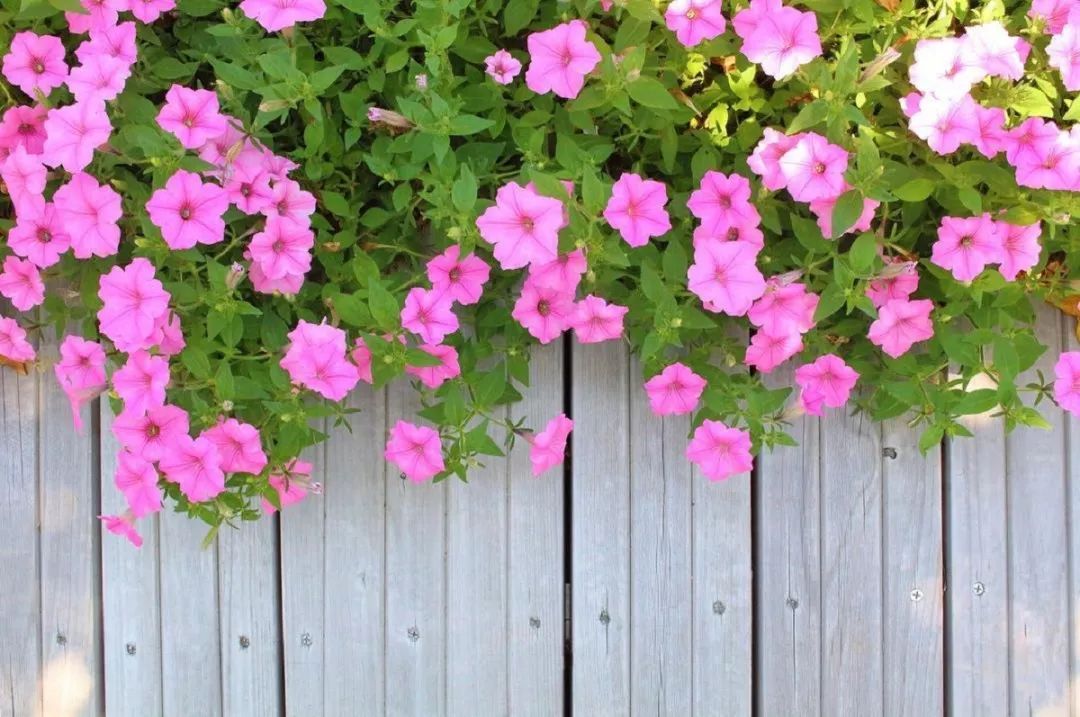 三个方法看透所有谎言,三个方法辨别谎言