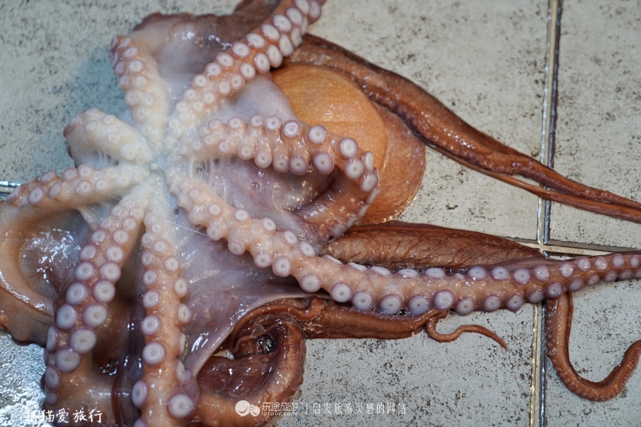 韩国安东鸡,去韩国吃炸鸡