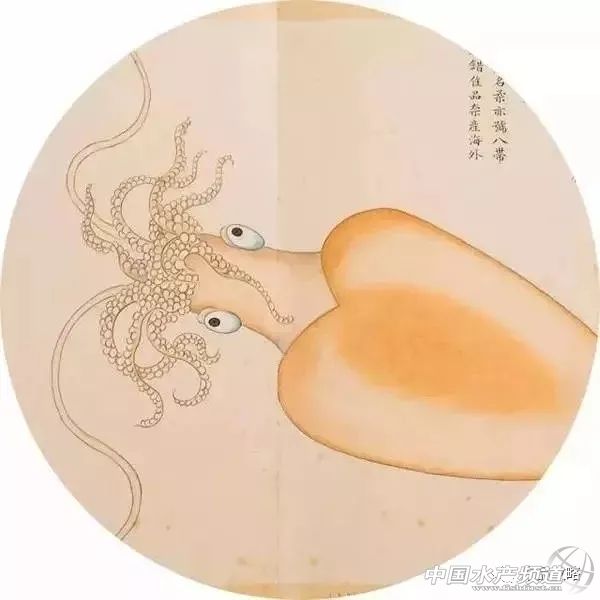 年前的海鲜,30年前的海鸥表