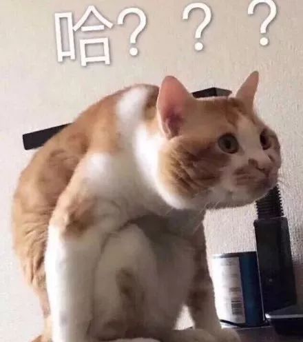 吴昕闲鱼店铺叫什么,吴昕闲鱼号是什么